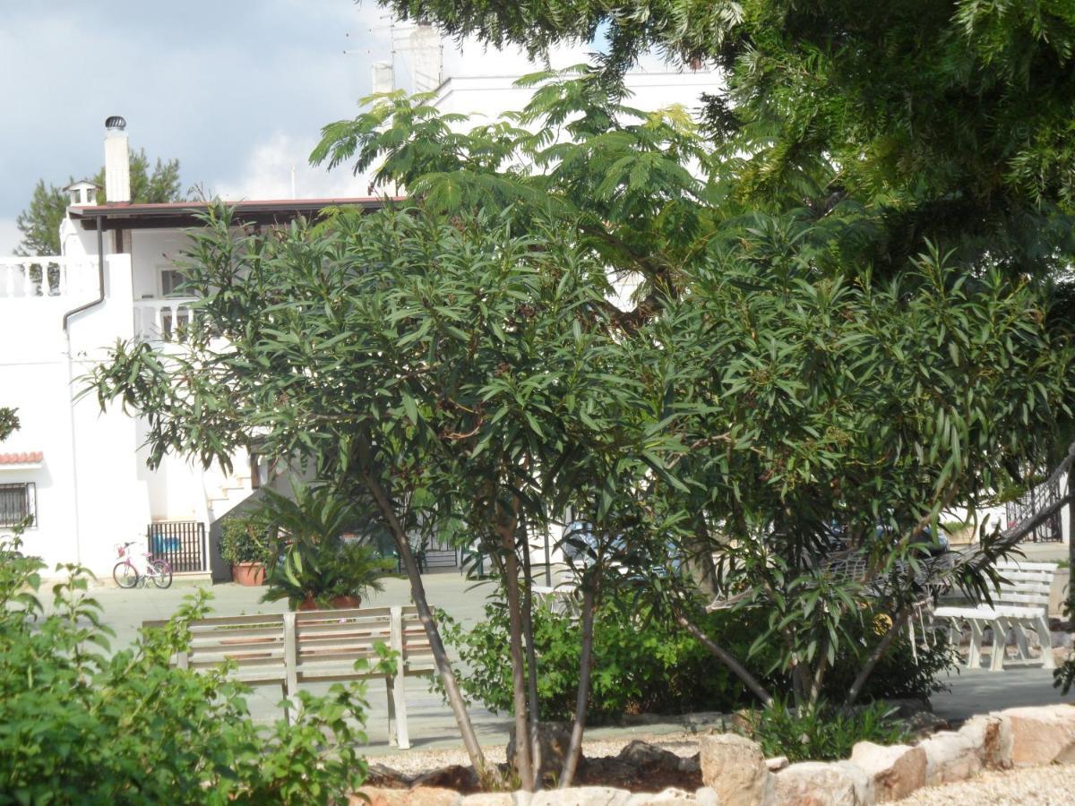 Azienda Agrituristica Masseria Campi 산비토데이노르만니 외부 사진