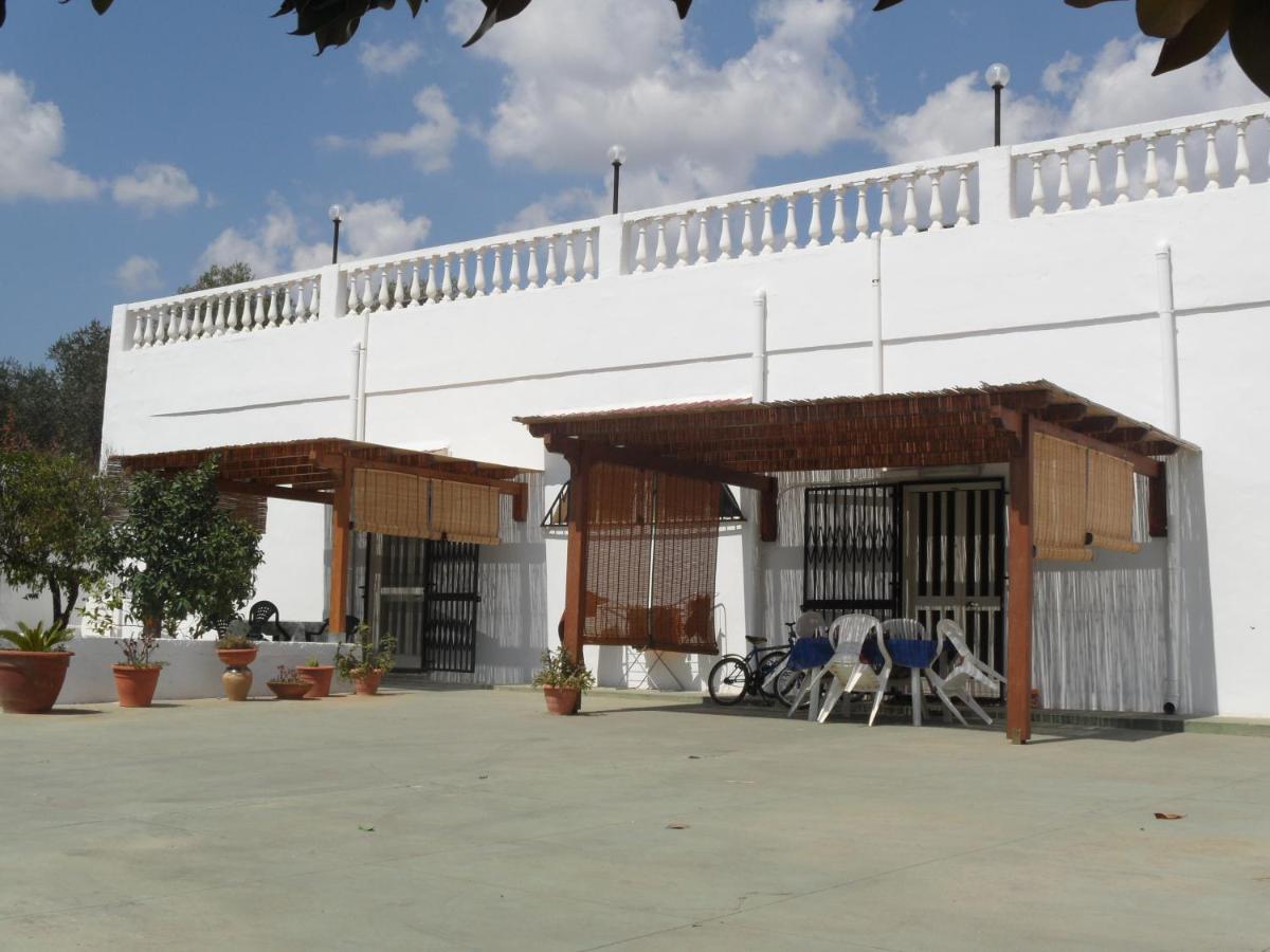 Azienda Agrituristica Masseria Campi 산비토데이노르만니 외부 사진